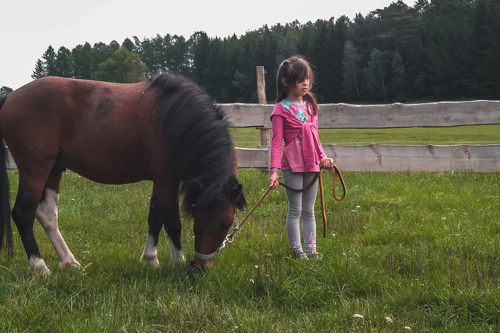 Pony