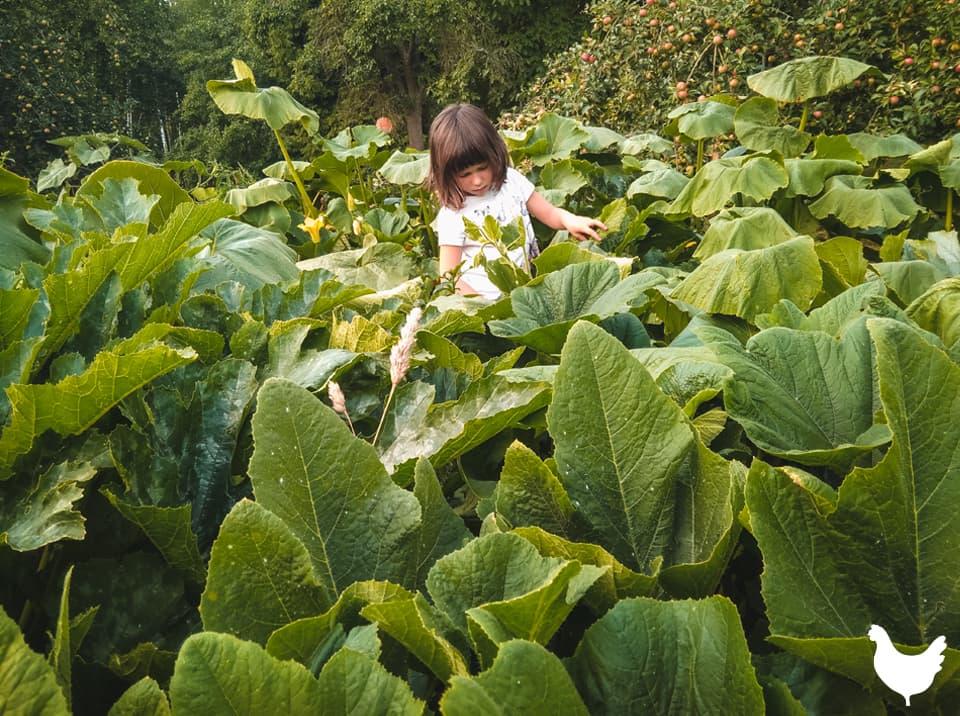 TerraFarma.cz - Open farm day
